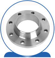 Duplex Steel 2205 Flanges