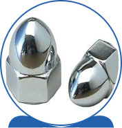 Duplex Steel Alloy 2205 SAF 2205 ® 1.4462 S32205 F60 31803 31803 1.4462 S31803 F51  Acorn Nuts
