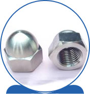 Duplex Steel Alloy 2205 SAF 2205 ® 1.4462 S32205 F60 31803 31803 1.4462 S31803 F51  Cap Nut