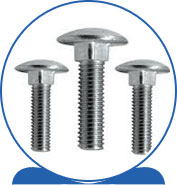 Duplex Carriage Bolts