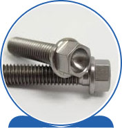 Duplex Flange Bolt