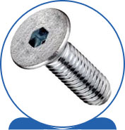 Duplex Flat Head Cap Screws