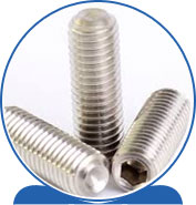 Duplex Grub Screw