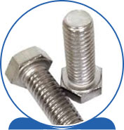 Duplex Steel Alloy 2205 SAF 2205 ® 1.4462 S32205 F60 31803 31803 1.4462 S31803 F51 Hex Head Bolt