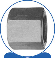 Duplex Steel Alloy 2205 SAF 2205 ® 1.4462 S32205 F60 31803 31803 1.4462 S31803 F51  High Nut