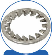 Duplex Internal Tooth Lock Washers