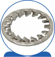 Duplex Internal Tooth Lock Washers