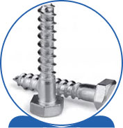 Duplex Lag Bolts