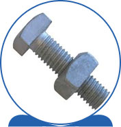 Duplex Steel Alloy 2205 SAF 2205 ® 1.4462 S32205 F60 31803 31803 1.4462 S31803 F51 Machine Bolt