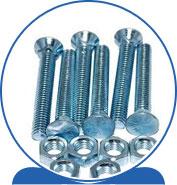 Duplex Plow Bolts