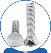 Duplex Scraper Blade Bolts