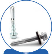 Duplex A-325 Self Drilling Screws