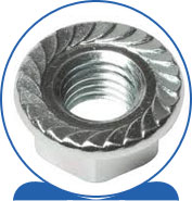 Duplex  Serrated Flange Nut