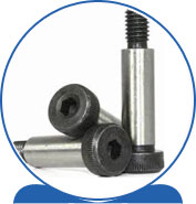 Duplex Steel Alloy 2205 SAF 2205 ® 1.4462 S32205 F60 31803 31803 1.4462 S31803 F51 Shoulder Bolt