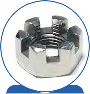 Duplex Steel Alloy 2205 SAF 2205 ® 1.4462 S32205 F60 31803 31803 1.4462 S31803 F51  Slotted Nut
