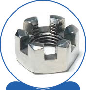 Duplex  Slotted Nut