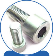 Duplex Steel Alloy 2205 SAF 2205 ® 1.4462 S32205 F60 31803 31803 1.4462 S31803 F51 Socket Cap Screw