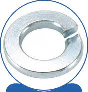 Duplex Spring /Lock Washer