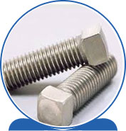 Duplex SQ Head Set Screws