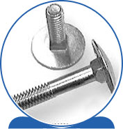 Duplex Step Bolt