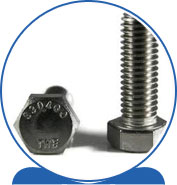 Duplex Tap Bolts