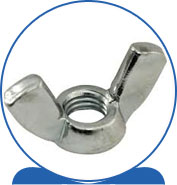 Duplex  Wing Nuts