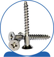 Duplex A-325 Wood Screws